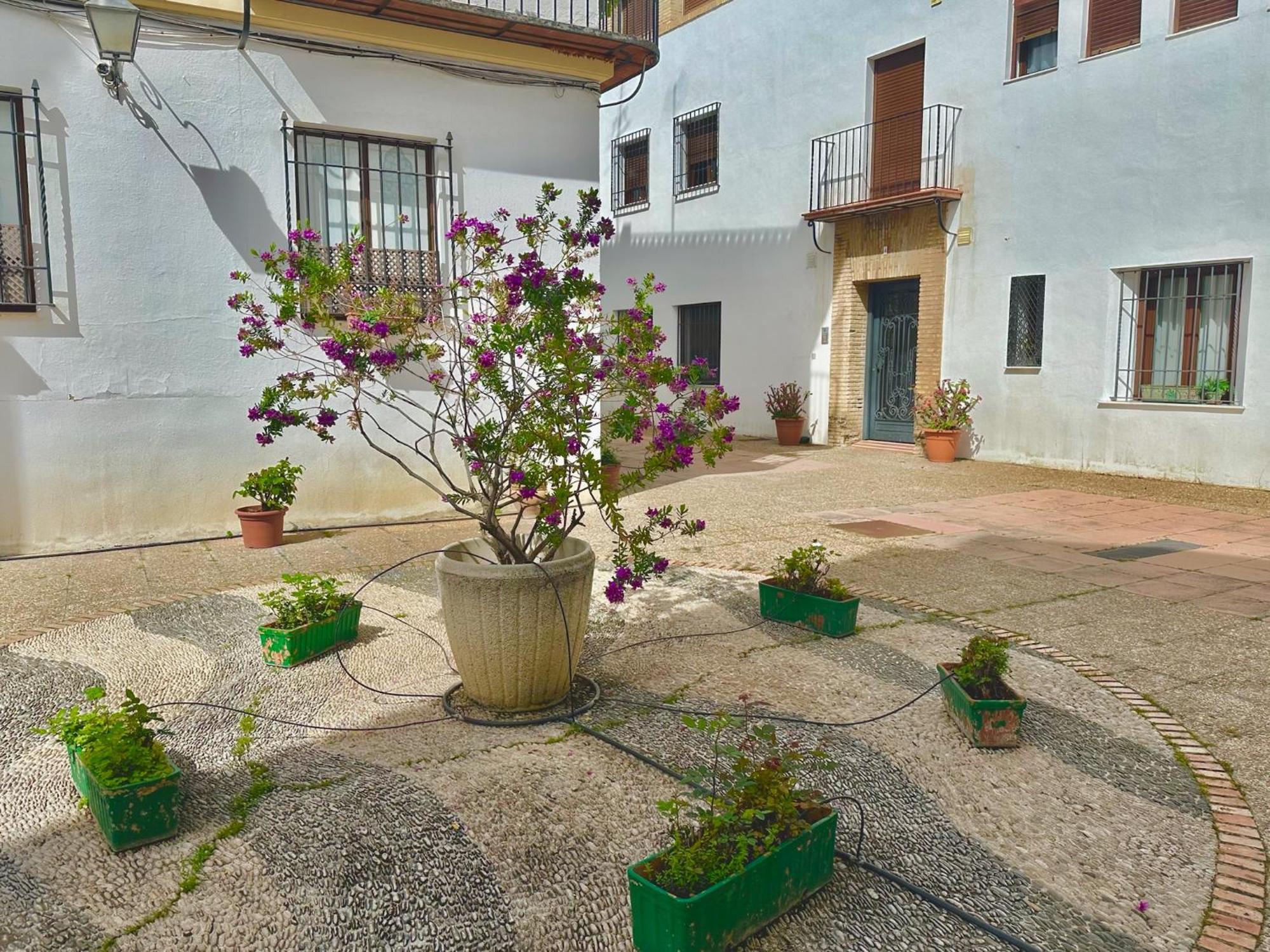Ferienwohnung Orive House Córdoba Exterior foto